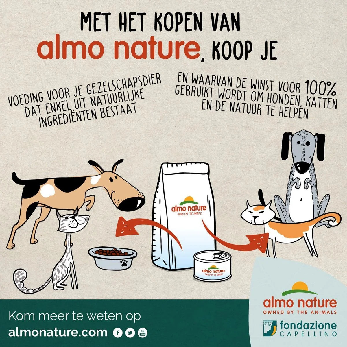 Almo Nature - Holistic Cat - Kip & Rijst