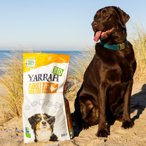 Yarrah Bio Adult Hondenvoer met kip